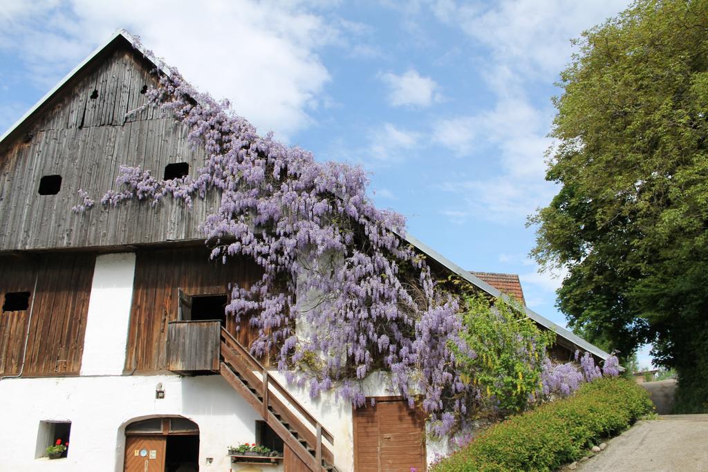 Pension Neuhof Ossiach Esterno foto